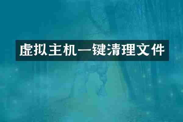 虚拟主机一键清理文件