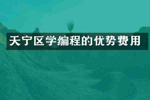 天宁区学编程的优势费用