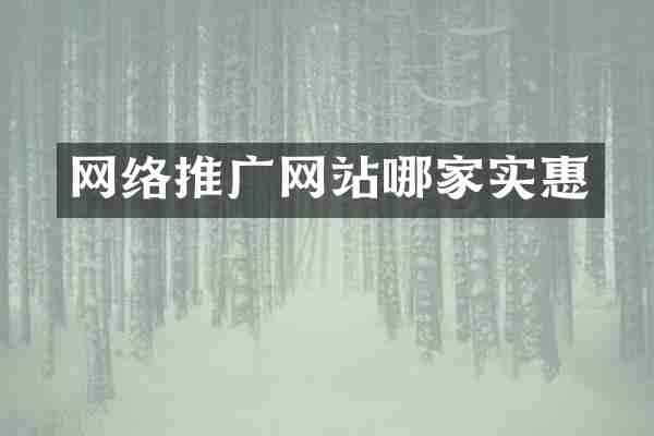 网络推广网站哪家实惠