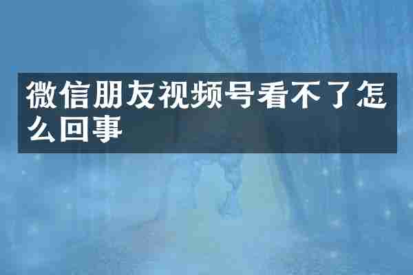 微信朋友视频号看不了怎么回事