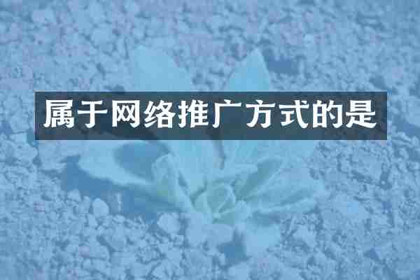 属于网络推广方式的是