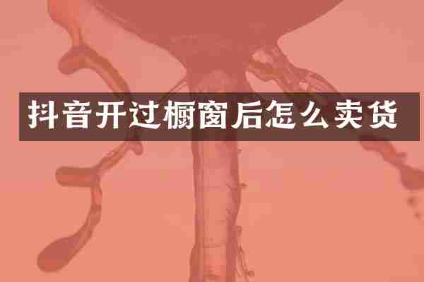 抖音开过橱窗后怎么卖货