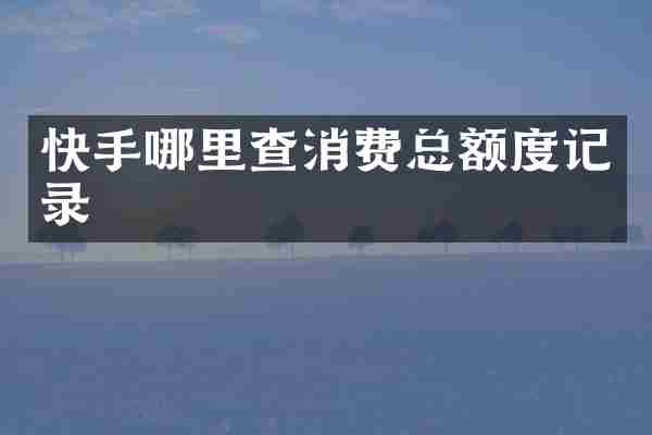 快手哪里查消费总额度记录