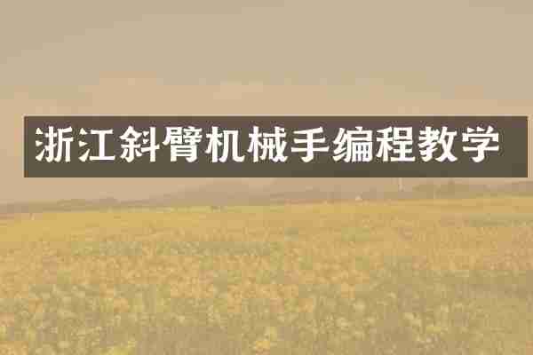 浙江斜臂机械手编程教学