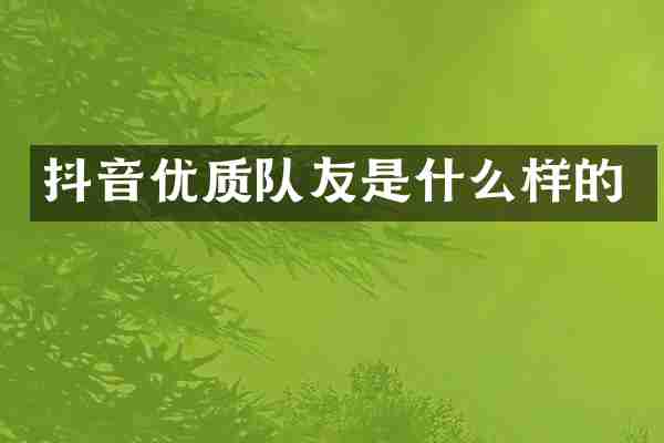 抖音优质队友是什么样的