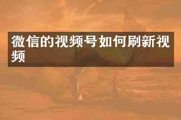 微信的视频号如何刷新视频