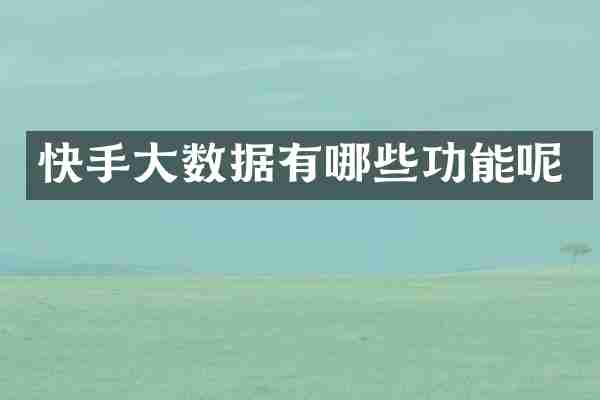 快手大数据有哪些功能呢