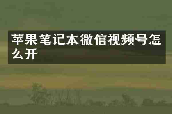 苹果笔记本微信视频号怎么开