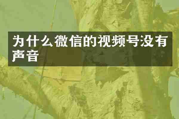 为什么微信的视频号没有声音