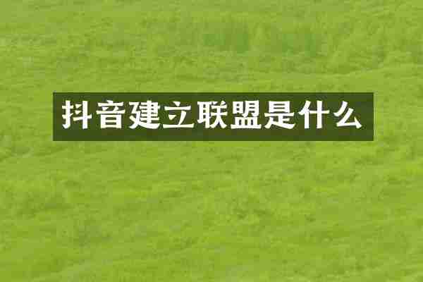 抖音建立联盟是什么