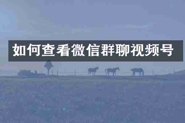 如何查看微信群聊视频号