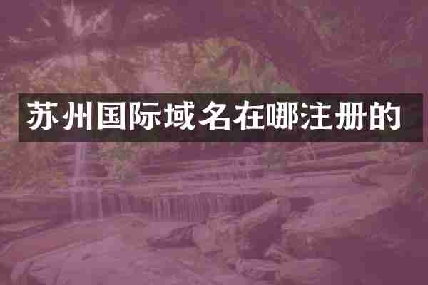 苏州国际域名在哪注册的