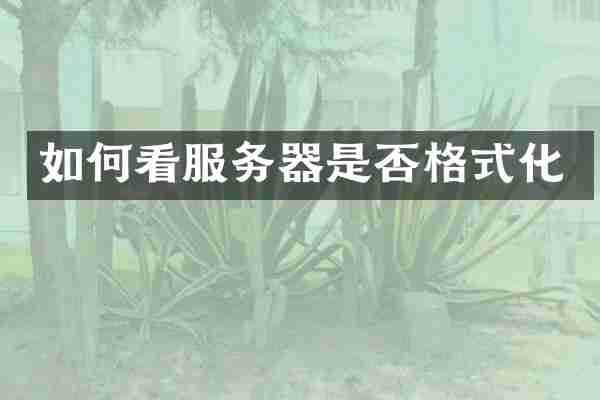 如何看服务器是否格式化