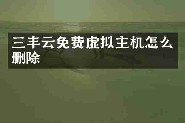 三丰云免费虚拟主机怎么删除