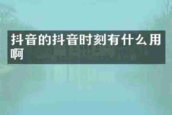 抖音的抖音时刻有什么用啊