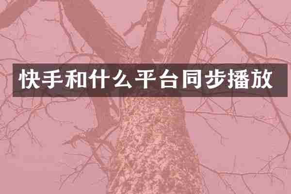 快手和什么平台同步播放