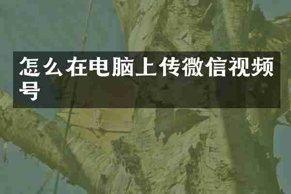 怎么在电脑上传微信视频号
