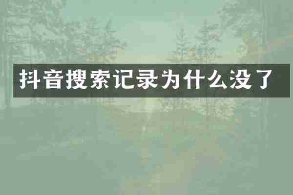抖音搜索记录为什么没了
