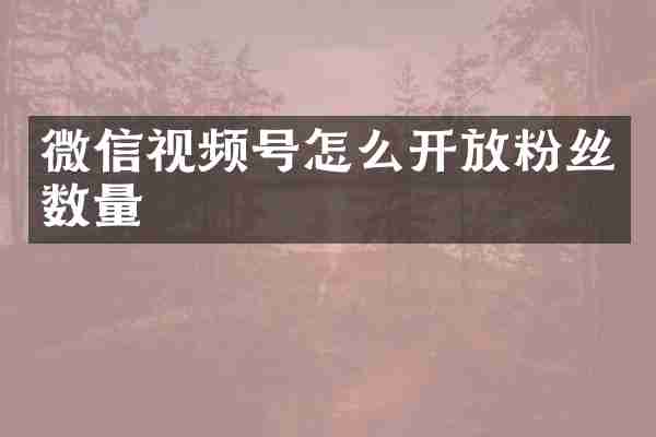 微信视频号怎么开放粉丝数量
