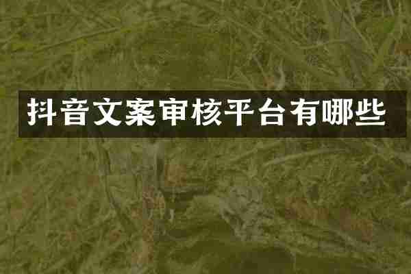 抖音文案审核平台有哪些