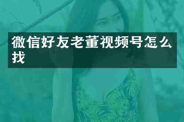 微信好友老董视频号怎么找