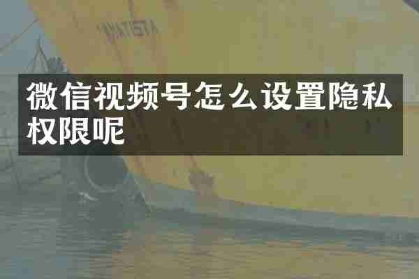 微信视频号怎么设置隐私权限呢