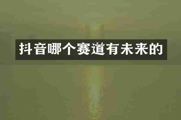 抖音哪个赛道有未来的