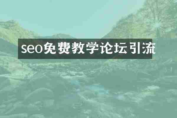 seo免费教学论坛引流