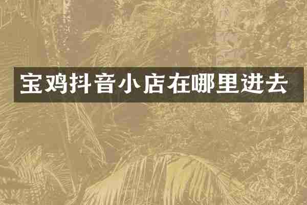 宝鸡抖音小店在哪里进去