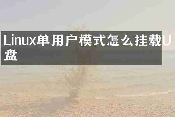 Linux单用户模式怎么挂载U盘
