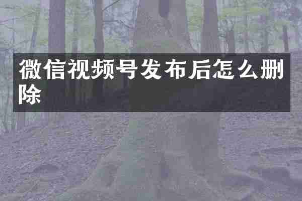 微信视频号发布后怎么删除