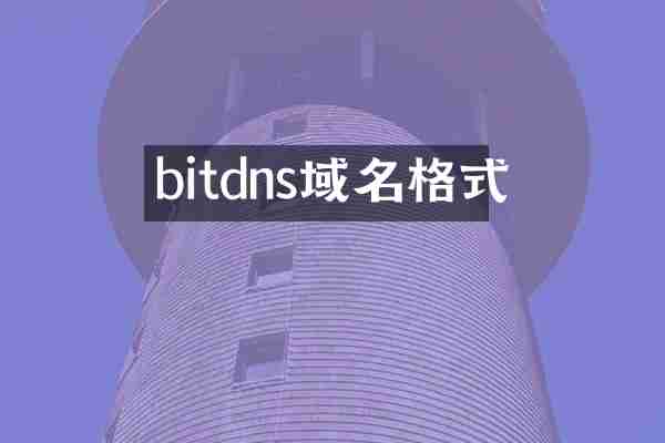 bitdns域名格式
