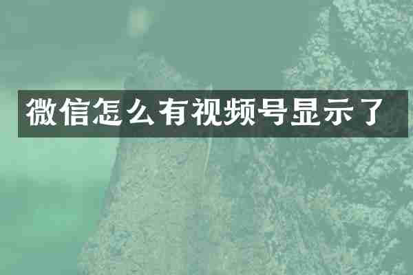 微信怎么有视频号显示了