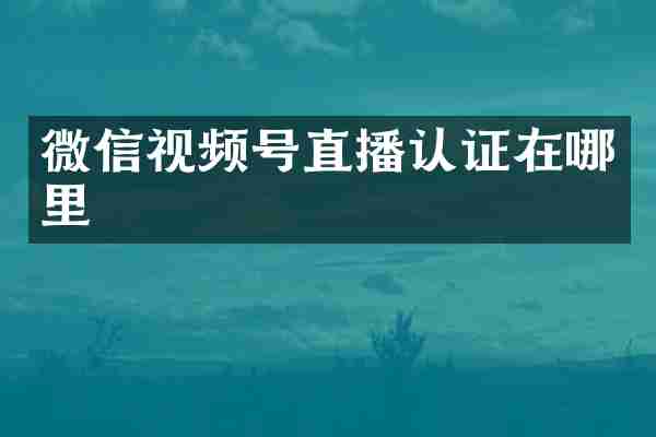 微信视频号直播认证在哪里