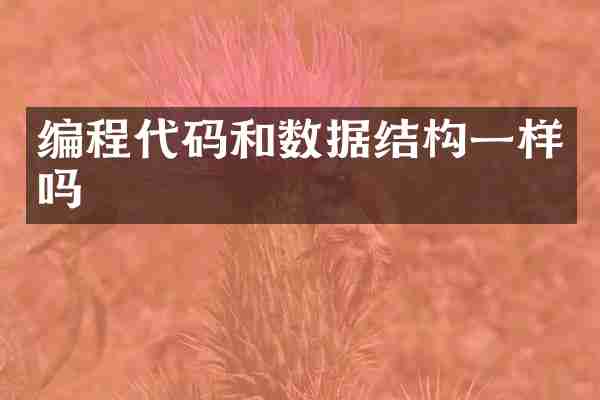 编程代码和数据结构一样吗