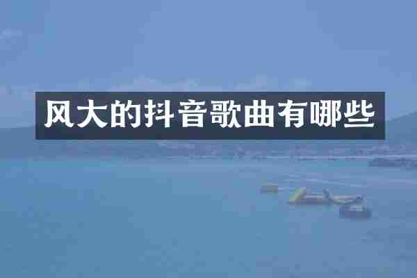 风大的抖音歌曲有哪些
