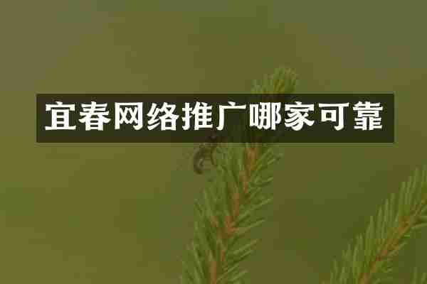 宜春网络推广哪家可靠