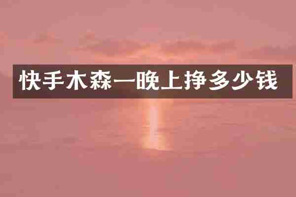 快手木森一晚上挣多少钱