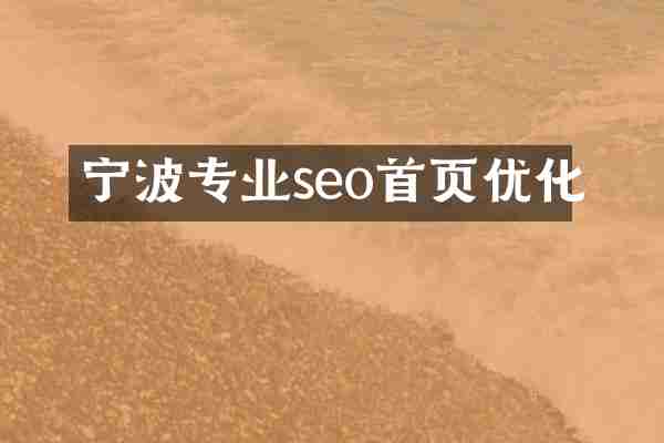 宁波专业seo首页优化