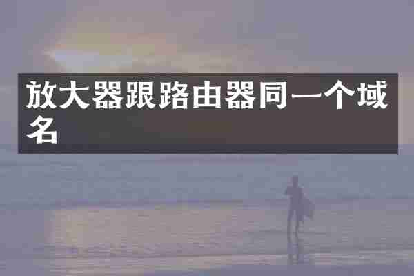 放大器跟路由器同一个域名