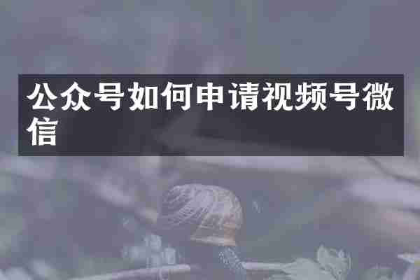 公众号如何申请视频号微信