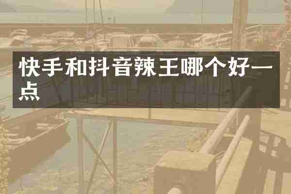 快手和抖音辣王哪个好一点