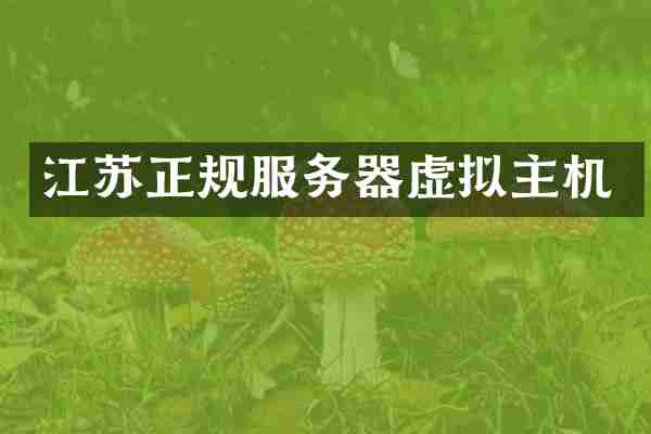 江苏正规服务器虚拟主机