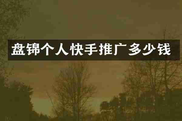 盘锦个人快手推广多少钱