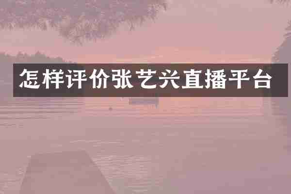 怎样评价张艺兴直播平台