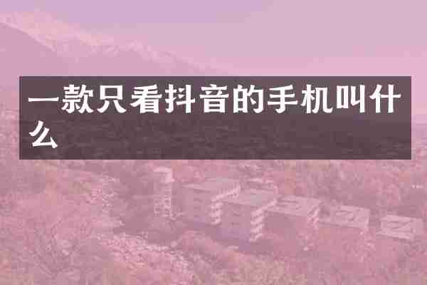 一款只看抖音的手机叫什么