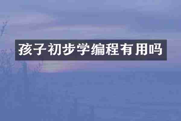 孩子初步学编程有用吗