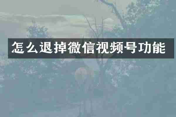 怎么退掉微信视频号功能