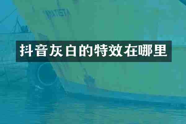 抖音灰白的特效在哪里