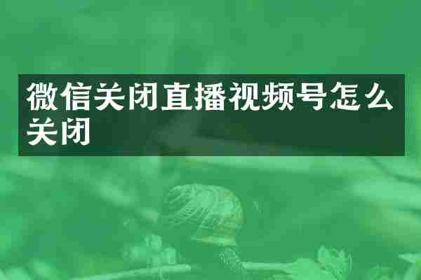 微信关闭直播视频号怎么关闭
